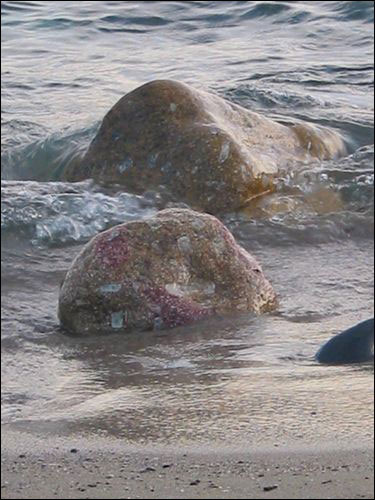 Image:une plage de Corse ...